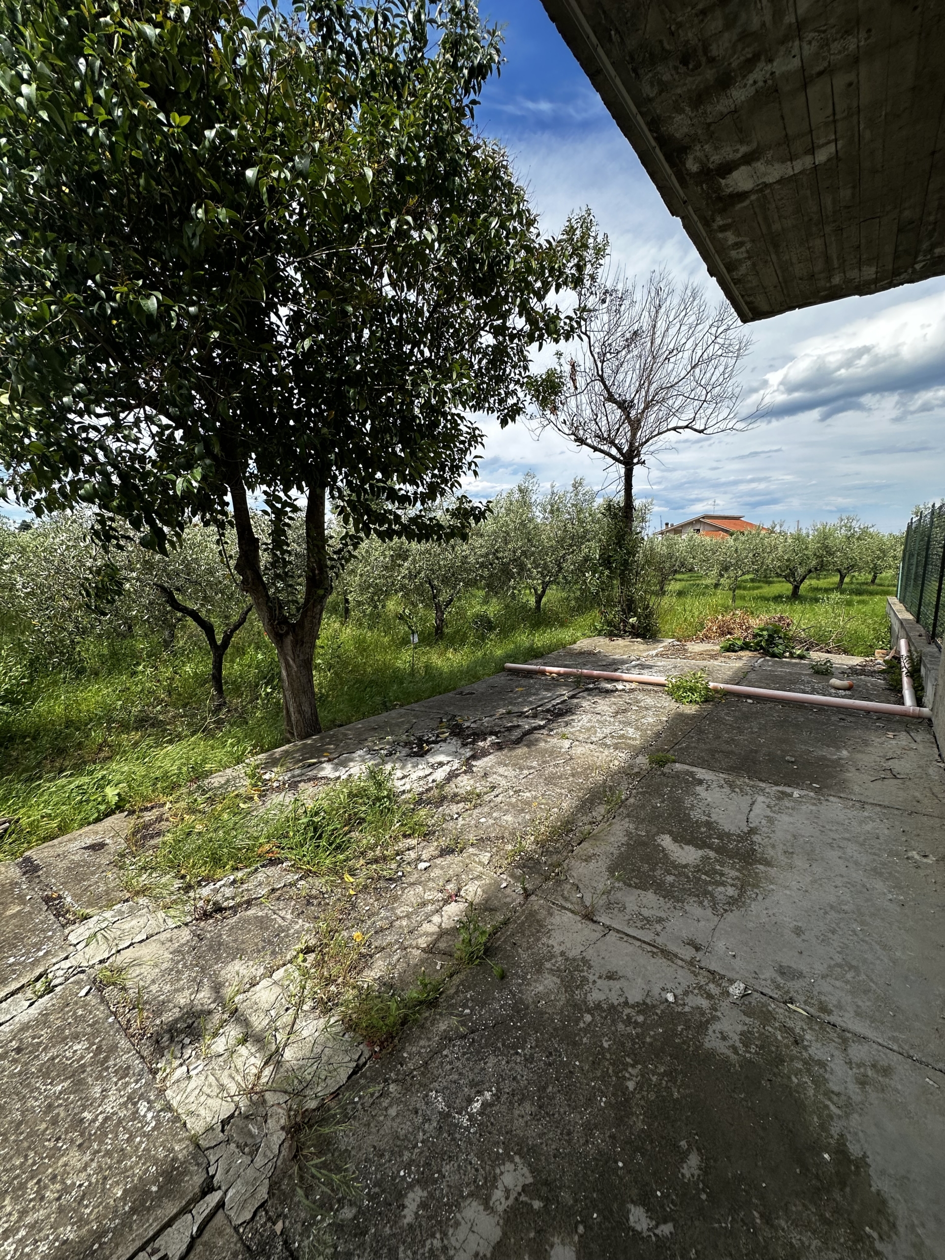 APPARTAMENTO IN BIFAMILIARE CON TERRENO